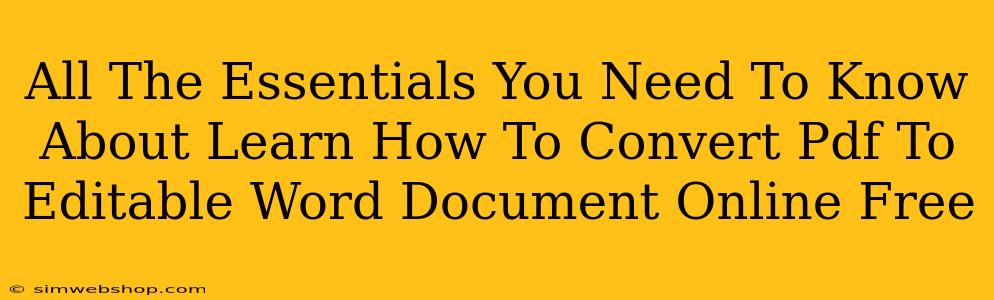 All The Essentials You Need To Know About Learn How To Convert Pdf To Editable Word Document Online Free