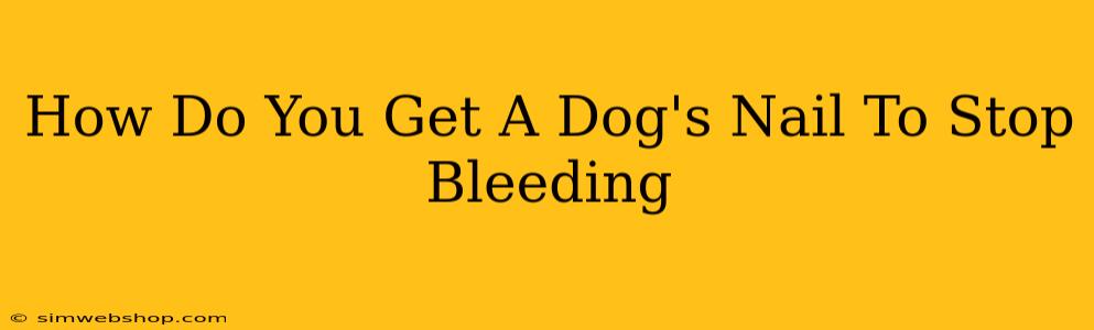 How Do You Get A Dog's Nail To Stop Bleeding