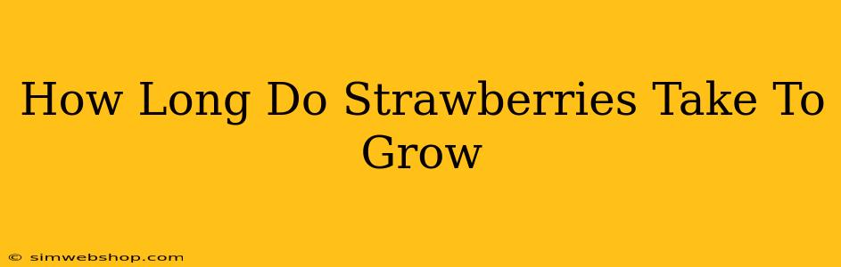 How Long Do Strawberries Take To Grow