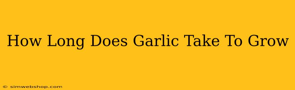 How Long Does Garlic Take To Grow