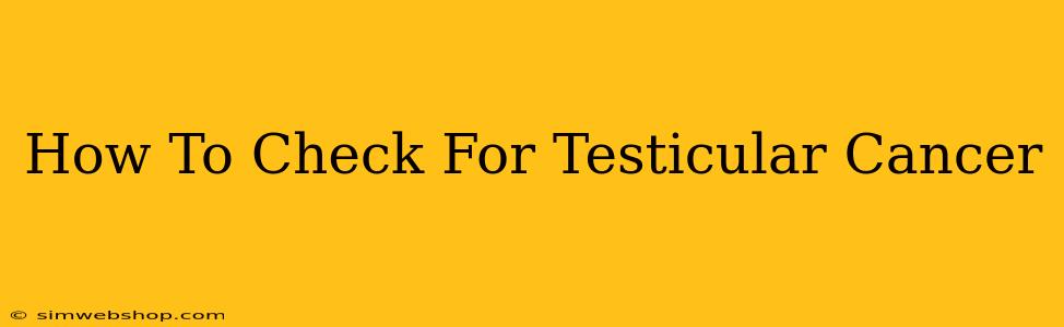 How To Check For Testicular Cancer