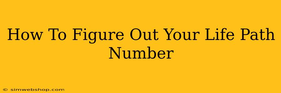 How To Figure Out Your Life Path Number