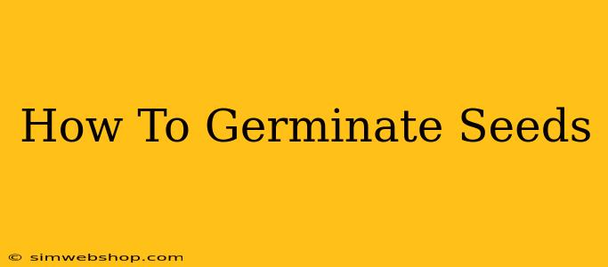 How To Germinate Seeds