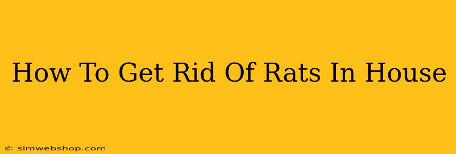 How To Get Rid Of Rats In House