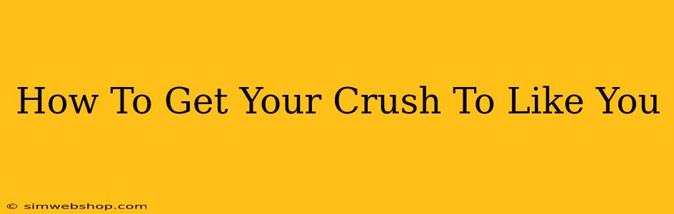 How To Get Your Crush To Like You