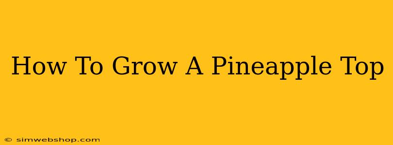 How To Grow A Pineapple Top