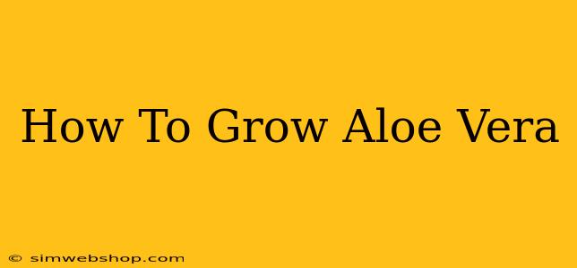 How To Grow Aloe Vera