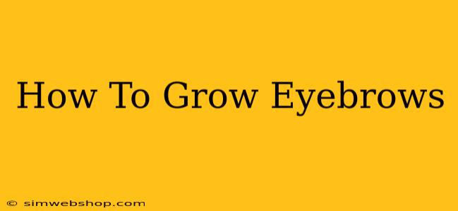 How To Grow Eyebrows