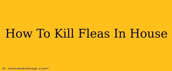 How To Kill Fleas In House