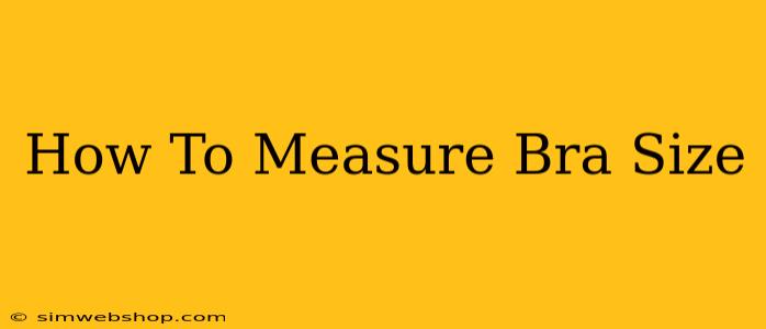 How To Measure Bra Size