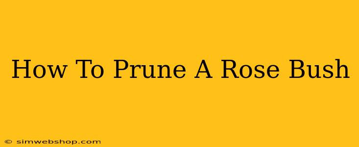 How To Prune A Rose Bush