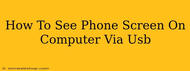 How To See Phone Screen On Computer Via Usb