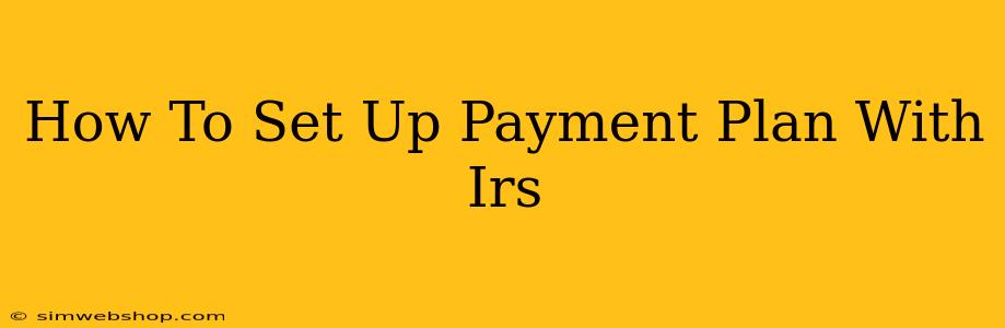 How To Set Up Payment Plan With Irs