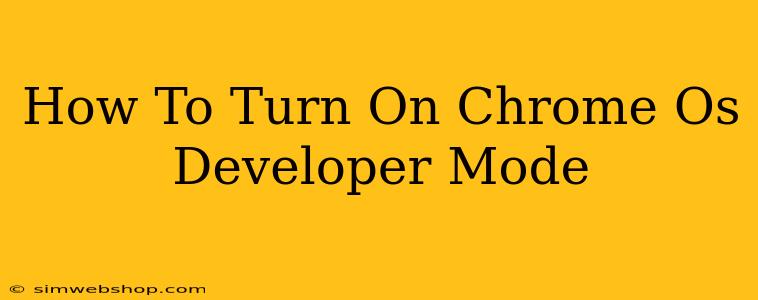 How To Turn On Chrome Os Developer Mode