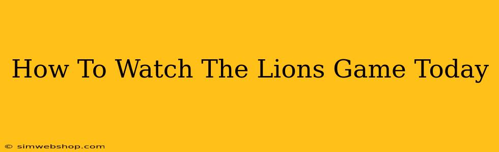 How To Watch The Lions Game Today